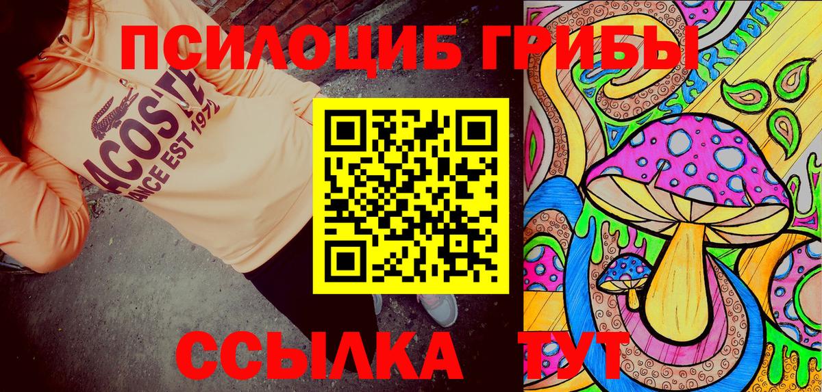 Галлюциногенные грибы Psilocybine cubensis Ртищево